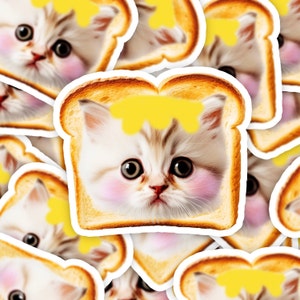 Pegatina de tostada de gato, pegatina de meme de gato, pegatina de pan divertido, regalo de meme, pegatina de desayuno, pegatina de gatito, pegatina de vinilo de gato, regalo de amante de los gatos