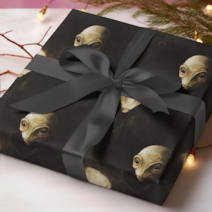 Alien Wrapping Papers, Rembrandt Gift Wrap, UFO Wrapping Paper, Meme Gift Wrap, Gag Gift, Sci-Fi Birthday Gift Wrapping, Funny Art Gift Wrap