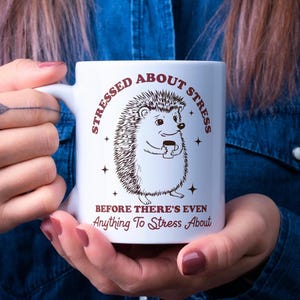 Stressed About Stress Mug, Mental Health Mug, Funny Hedgehog Mug, Cute Hedgehog Gift, Anxiety Cup, Funny Therapy Mug, Gag Gift, Funny Mug