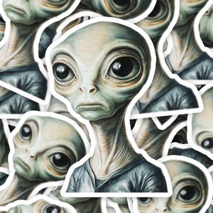 Funny Alien Sticker, UFO Sticker, Alien Meme Gift, Alien Drawing Sticker, Laptop Sticker, Gag Gift, Extraterrestrial Sticker, Vinyl Stickers