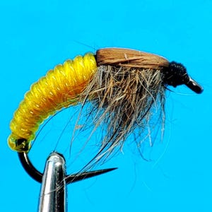 Fly Fishing Ammonite Flies - 3 Nymphs for Fishing