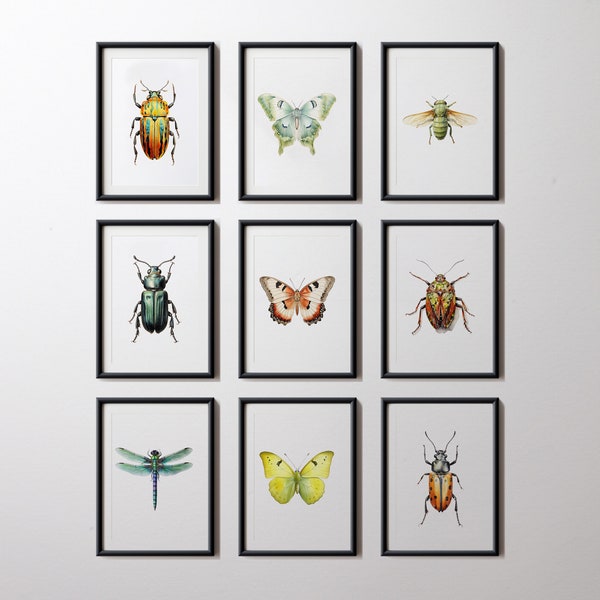 Insect Gallery Wall Art Set Bundle of 9 Printable Bug Illustrations Digital Artwork. Print ready 300 DPI jpg files in 5 aspect ratio.