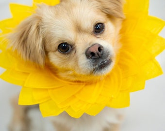 High-Quality Pets / Dogs Sunflower Costume