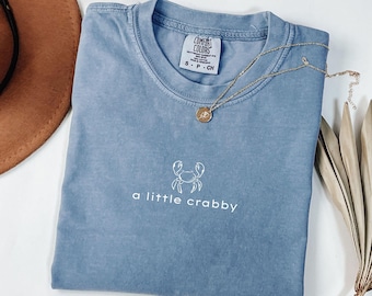 Minimalist Beach Shirt, Funny Meme Shirt, A Little Crabby, Summer Aesthetic, Oversize, Womens, Mens, Unisex Comfort Colors T-shirt
