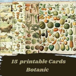 Vintage botanische kaarten, printbare kaarten voor journaling, scrapbooking, kaarten maken, digitale download, benodigdheden voor junk journaling