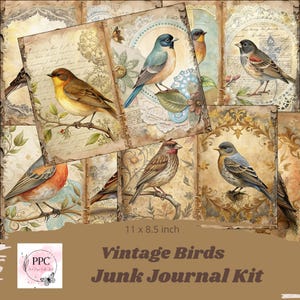 Vintage Birds junk journal kit, Nature junk journal, junk journal supplies, Digital download, printable journal