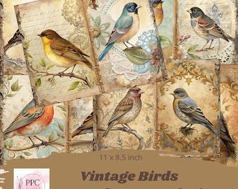 Vintage Birds junk journal kit, Nature junk journal, junk journal supplies, Digital download, printable journal