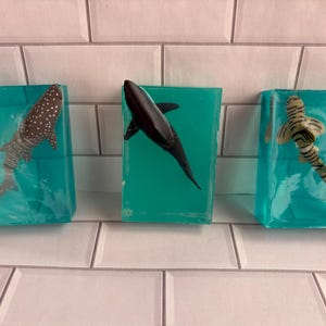May include: Three rectangular bars of translucent teal soap, each containing a miniature plastic shark figure. The left bar features a spotted whale shark, the center bar holds a black shark, and the right bar displays a striped tiger shark.