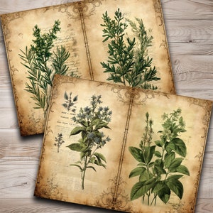 May include: Vintage botanical illustrations of various herbs and plants on aged paper with text. The illustrations are in shades of green, brown, and white.