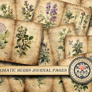 Páginas imprimibles de diario botánico de herbología con plantas medicinales y hierbas aromáticas para un kit de folio vintage para álbumes de recortes y jardines.