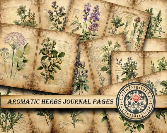 Herbology Botanical Printable Journal Pages With Medicinal Plants And Aromatic Herbs For Vintage Junk Journal Scrapbook Garden Folio Kit