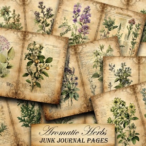 Paquete botánico de herbología, diario de jardín imprimible de herbario, planta de romero, plantas medicinales, páginas de diario descargables, papel de hierbas botánicas