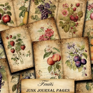 Diario da giardino di carte vintage, pagine rustiche diario devozionale frutta stampabili, documenti di diario spazzatura