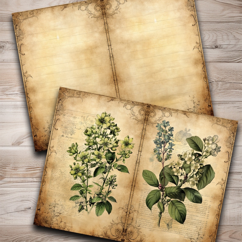 May include: Two pages of a vintage journal with a decorative border. The left page is blank, while the right page features two botanical illustrations of white flowers with green leaves. The text "The Dreamer" is visible on the right page.