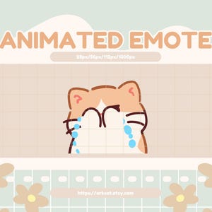 Crying Cat Emote: Animated Twitch, Discord, YouTube GIF (Digital Download)