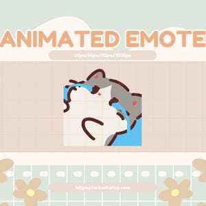 Crying Cat Animated Emote: Sad Gray Kitten for Twitch, Discord, YouTube (Digital Download)