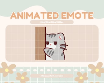 Emote animado de gato gris asomado: Tímido en Twitch, Discord y YouTube Chat