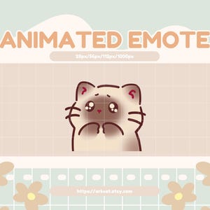Animated Please Emote – Cute Siamese Cat Begging with Big Eyes for Twitch, Discord & YouTube Streams and Chats