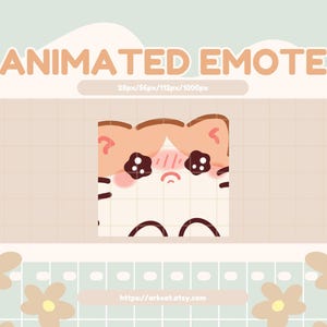 Animated Teary Cat Emote: Orange & White Cat Crying Twitch/Discord Stream (GIF Digital Download)