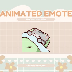 Op de afbeelding: Geanimeerde emote van een grijze kat met roze wangen die slaapt onder een groene deken. De kat is opgerold en heeft zijn ogen dicht. De emote is in cartoon-stijl en perfect voor gebruik in online chats.