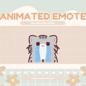 Crying Gray Cat Animated Emote: Twitch, Discord, YouTube (Digital Download)