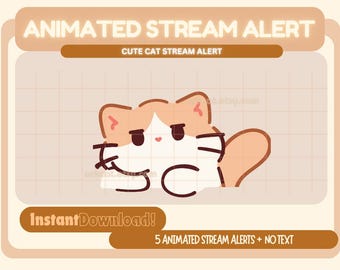 Stream Cat Alert | Orange White Cat | Animated | Twitch | YouTube | OBS | Discord | StreamElements