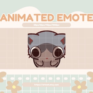 May include: An animated emote featuring a cartoon cat with large eyes and a gray and brown color scheme. The text "ANIMATED EMOTE" is displayed at the top, with sizing information below. The background has a grid pattern and floral accents.