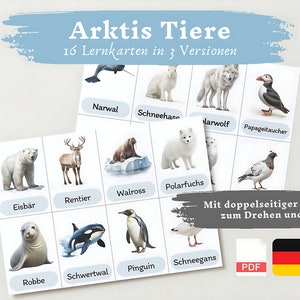 Lernkarten Kinder Arktis Tiere | Deutsch lernen Kinder lernen Tiere Lernkarten Tiere Download digital PDF Montessori Flashcards Karteikarten