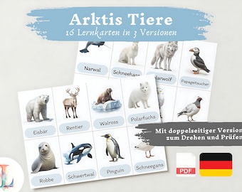 Lernkarten Kinder Arktis Tiere | Deutsch lernen Kinder lernen Tiere Lernkarten Tiere Download digital PDF Montessori Flashcards Karteikarten