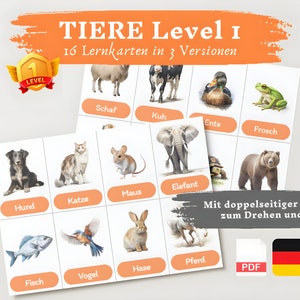 Lernkarte Kinder TIERE Lvl 1 | Deutsch lernen Kinder lernen Tiere Lernkarten Tiere Download digital PDF Montessori Flashcards Karteikarten