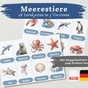 Lernkarten Kinder Meerestiere | Deutsch lernen Kinder lernen Tiere Lernkarten Tiere Download digital PDF Montessori Flashcards Karteikarten