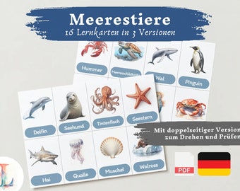 Lernkarten Kinder Meerestiere | Deutsch lernen Kinder lernen Tiere Lernkarten Tiere Download digital PDF Montessori Flashcards Karteikarten