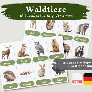 Lernkarten Kinder Waldtiere | Deutsch lernen Kinder lernen Tiere Lernkarten Tiere Download digital PDF Montessori Flashcards Karteikarten