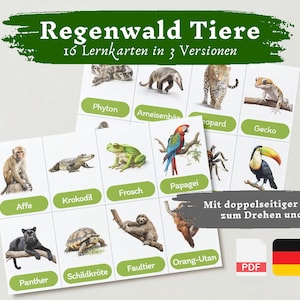 Lernkarten Kinder Regenwald | Deutsch lernen Kinder lernen Tiere Lernkarten Tiere Download digital PDF Montessori Flashcards Karteikarten