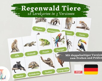 Lernkarten Kinder Regenwald | Deutsch lernen Kinder lernen Tiere Lernkarten Tiere Download digital PDF Montessori Flashcards Karteikarten