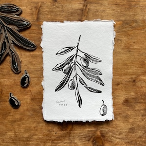Puede incluir: Grabado en linóleo en blanco y negro de una rama de olivo con aceitunas y hojas. Las palabras "OLIVE TREE" están impresas debajo. La impresión está sobre papel blanco texturizado. Un sello de rama de olivo de madera y dos sellos de aceitunas son visibles.