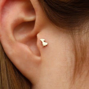 14K Solid Gold Puppy Piercing - Real Gold Cute Dog Earring - Animal Jewelry - Tragus Piercing - Dainty Cartilage Earring - Gift for Women