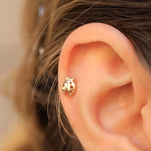May include: A gold ladybug earring with a detailed design. The earring is worn in the cartilage of a person's ear.