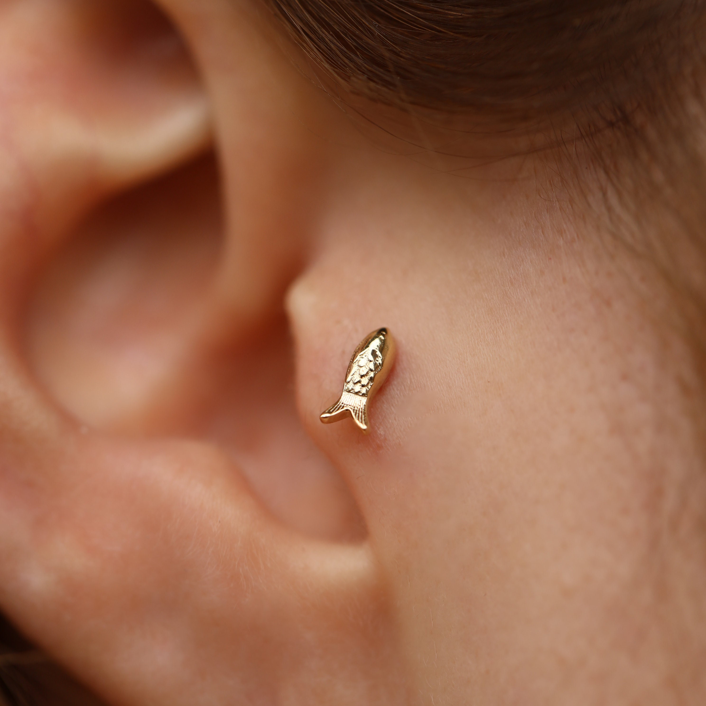 14K Real Gold Fish Piercing - Real Gold Sardine Fish Earring - Dainty…
