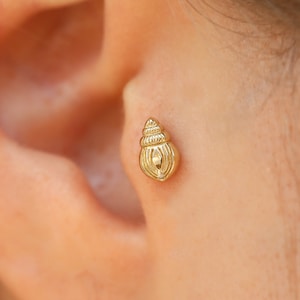 14K Solid Gold Seashell Piercing - Minimalist Tragus Piercing - Helix Piercing - Real Gold Ocean Earring - Seashell Jewelry - Gift for Women