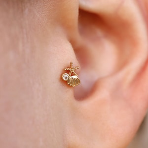 14K Solid Gold Seashell Earrings - Real Gold Starfish Piercing - Tiny Zircon Helix Piercing - Dainty Tragus Piercing - Gift for Her