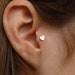 see more listings in the Piercing section