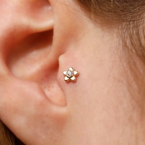 14K Solid Gold Tiny Flower Piercing, Minimalist Tragus Piercing, Gold Stud Piercing, Stud Ear Piercing, Cartilage Piercing, Helix Piercing