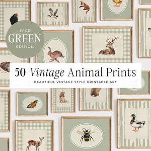 50 Animals Vintage Nursery, Nursery Wall Art, Farmhouse Nursery, Print, Baby Nursery, Vintage Gallery Wall, Printable Art, DIGITAL | MB024