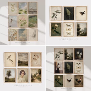 Puede incluir: Una colecci&oacute;n de grabados art&iacute;sticos vintage enmarcados. Los grabados presentan ilustraciones bot&aacute;nicas, paisajes y retratos en tonos apagados. El texto "STYLING HER LIFE curated art" est&aacute; en la parte inferior de algunos grabados.