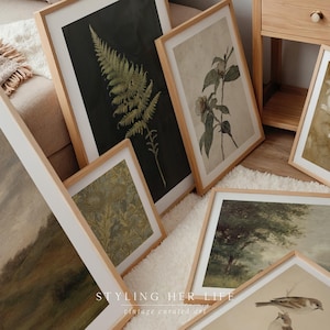 Puede incluir: Una colecci&oacute;n de l&aacute;minas enmarcadas de arte bot&aacute;nico y paisaj&iacute;stico. Las l&aacute;minas presentan im&aacute;genes de helechos, flores y &aacute;rboles en varios estilos. Los marcos son de madera clara con paspart&uacute; blanco. El texto "Styling Her Life" y "vintage curated art" es visible.