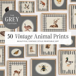 50 Animals Vintage Nursery, Nursery Wall Art, Farmhouse Nursery, Print, Baby Nursery, Vintage Gallery Wall, Printable Art, DIGITAL | MB022
