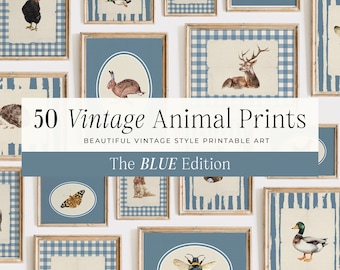 50 Vintage Animal Prints: Blue Nursery Gallery Wall, Boys Room Decor (Digital Download)