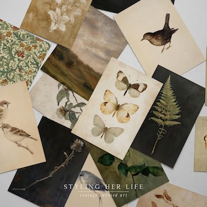 Puede incluir: Una colecci&oacute;n de grabados art&iacute;sticos de estilo vintage con ilustraciones bot&aacute;nicas y de vida silvestre. Los grabados muestran mariposas, p&aacute;jaros, flores y follaje en tonos apagados. El texto "STYLING HER LIFE vintage curated art" es visible en la parte inferior.