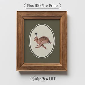 Vintage Hare Art Print, Cottagecore Print, Vintage Nursery, Boys Nursery, Baby Girl Nursery, Antique Wall Art, Printable Art, DIGITAL